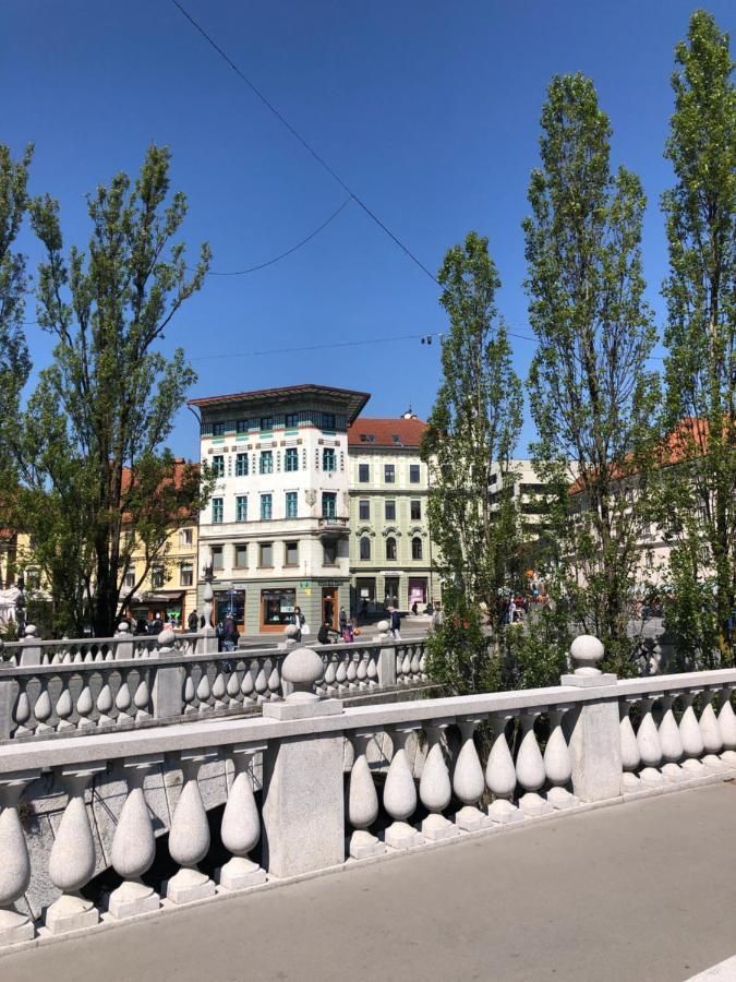 Triple Bridge Ljubljana Apartment Екстериор снимка
