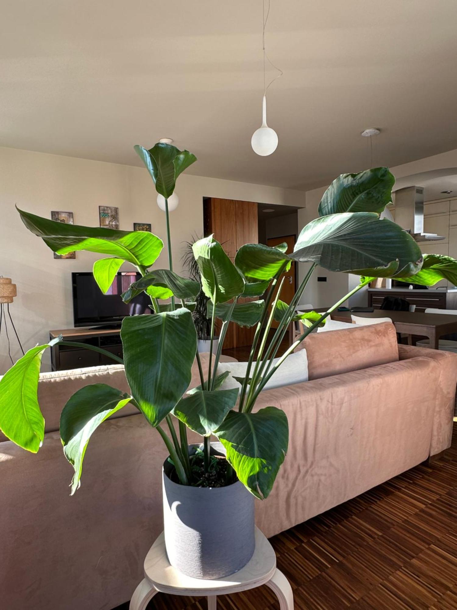 Triple Bridge Ljubljana Apartment Екстериор снимка