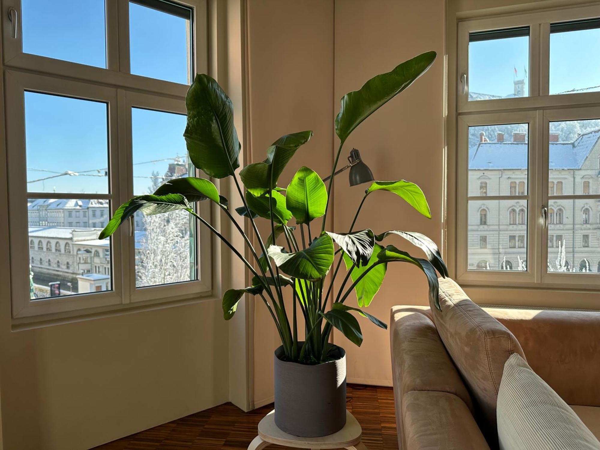 Triple Bridge Ljubljana Apartment Екстериор снимка